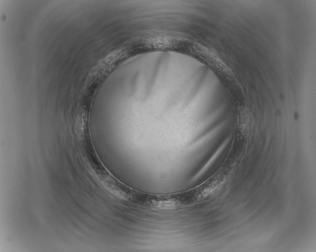 X0000080180645200612221317