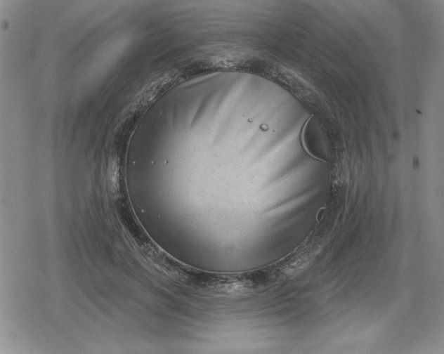 X0000080180646200612221317