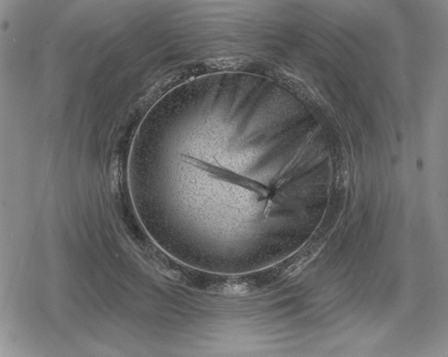 X0000080180647200612221317