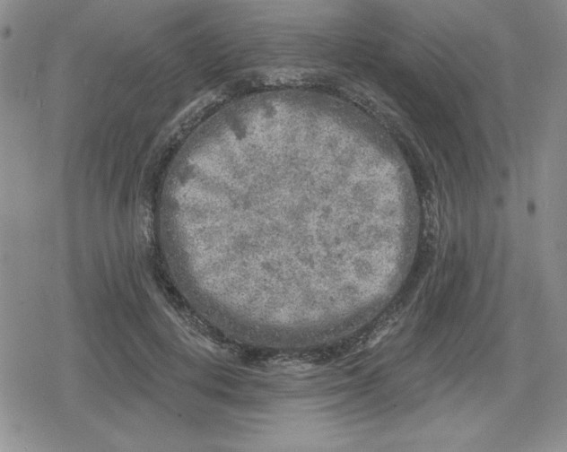 X0000080180648200612221317