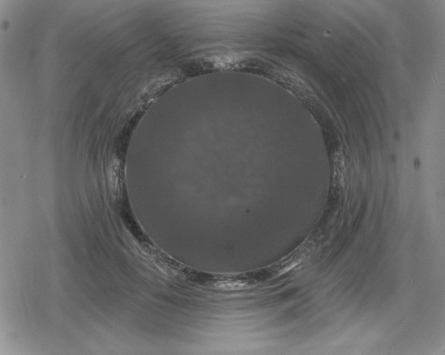 X0000080180650200612221317