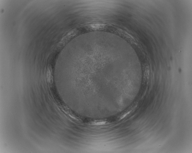 X0000080180651200612221317