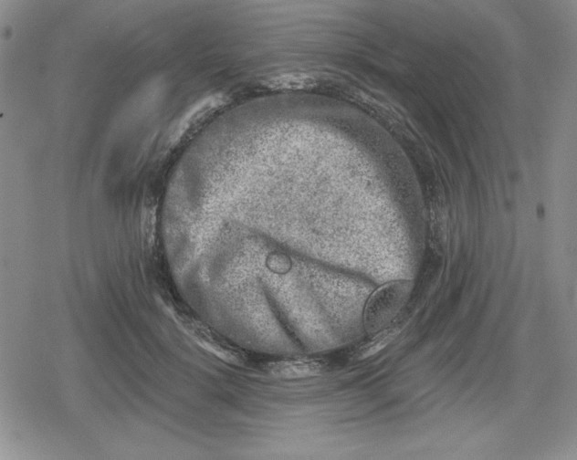 X0000080180652200612221317