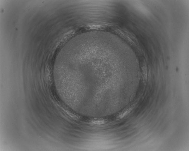 X0000080180653200612221317