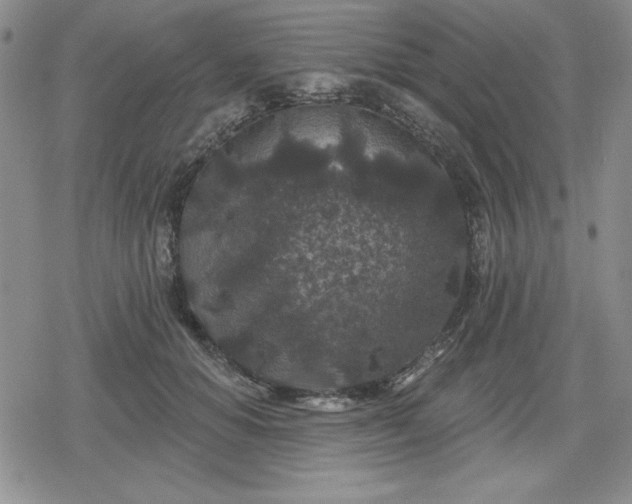 X0000080180654200612221317