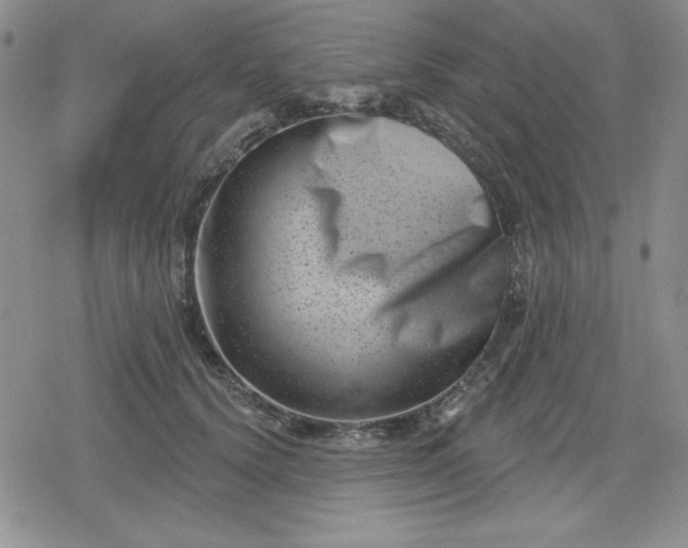 X0000080180656200612221317