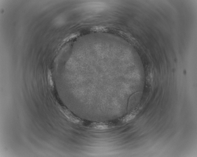 X0000080180658200612221317