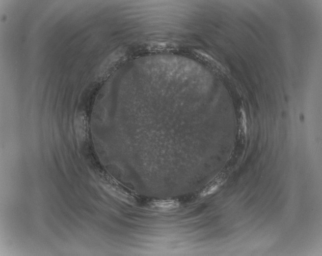 X0000080180659200612221317