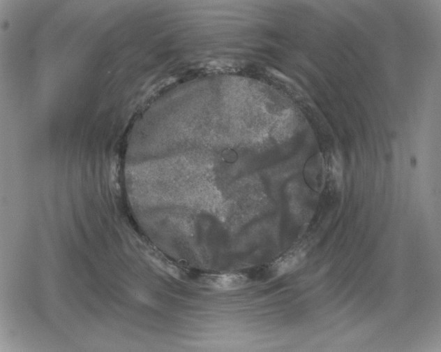 X0000080180663200612221317