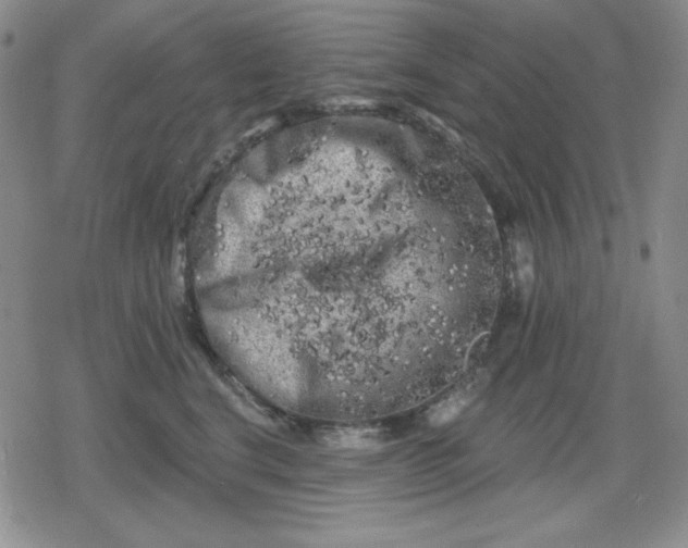 X0000080180664200612221317