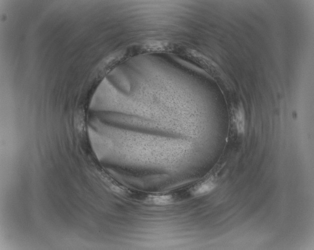 X0000080180665200612221317