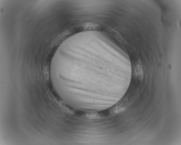 X0000080180666200612221317