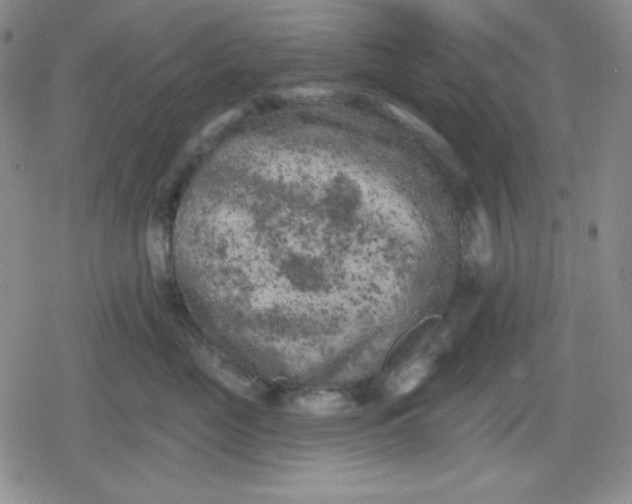 X0000080180669200612221317