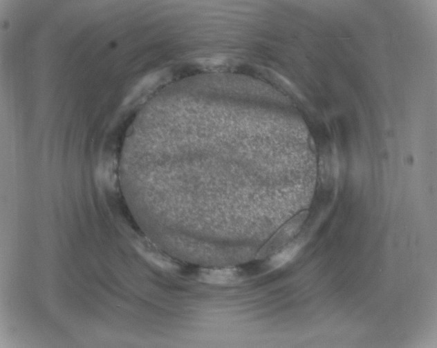 X0000080180671200612221317