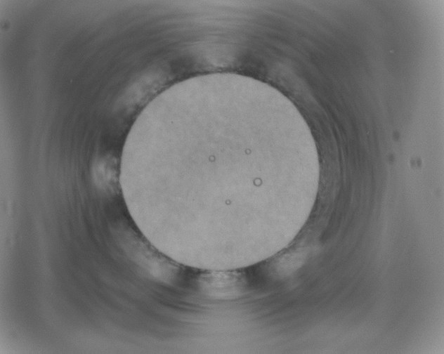 X0000080180672200612221317