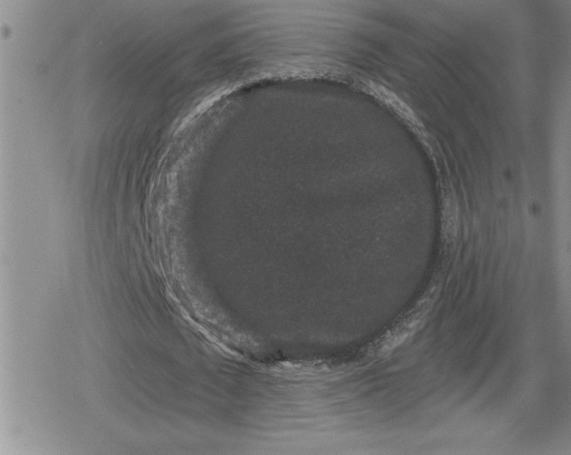 X0000080180673200612221316