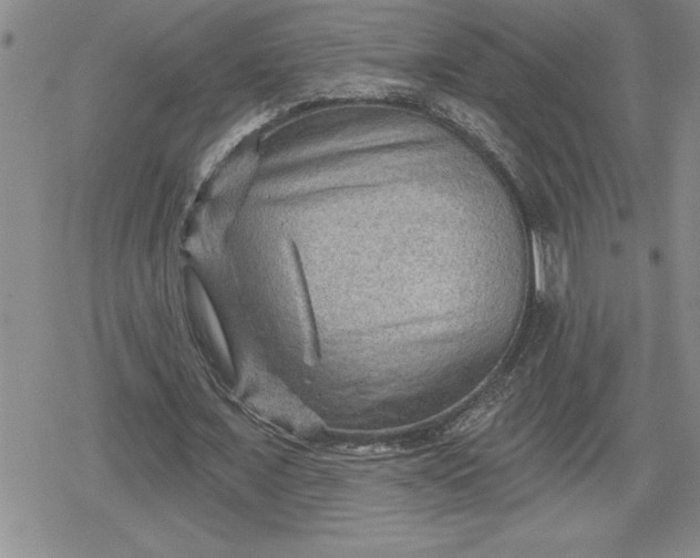 X0000080180675200612221316