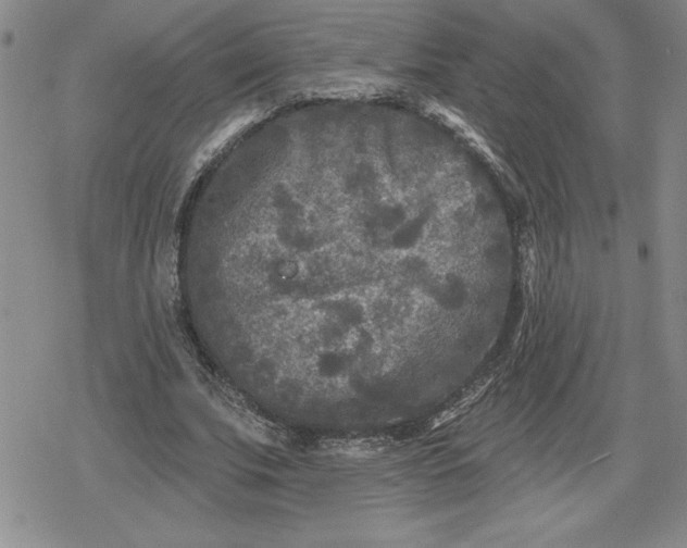 X0000080180679200612221316