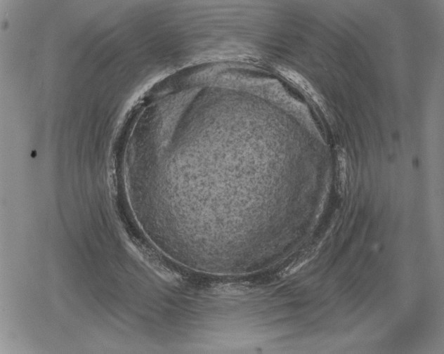 X0000080180680200612221316