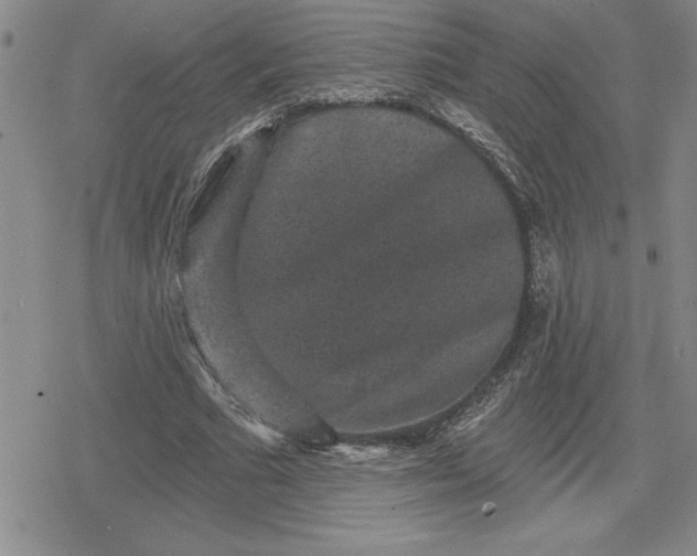 X0000080180681200612221316