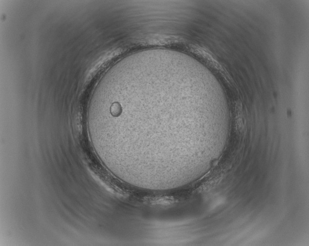 X0000080180683200612221316