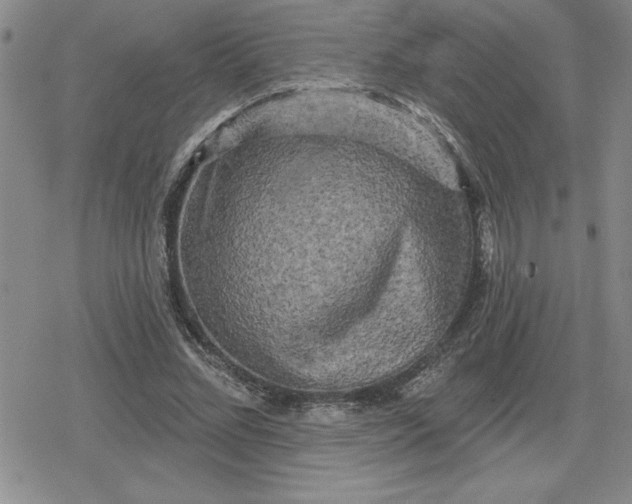 X0000080180684200612221316