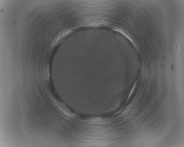 X0000080180685200612221316