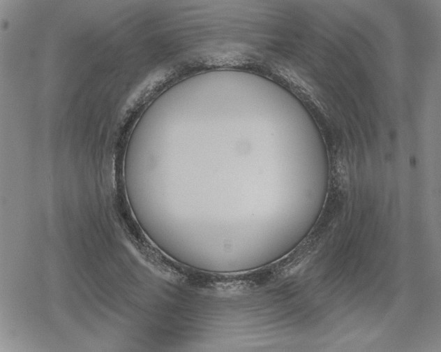 X0000080180686200612221316