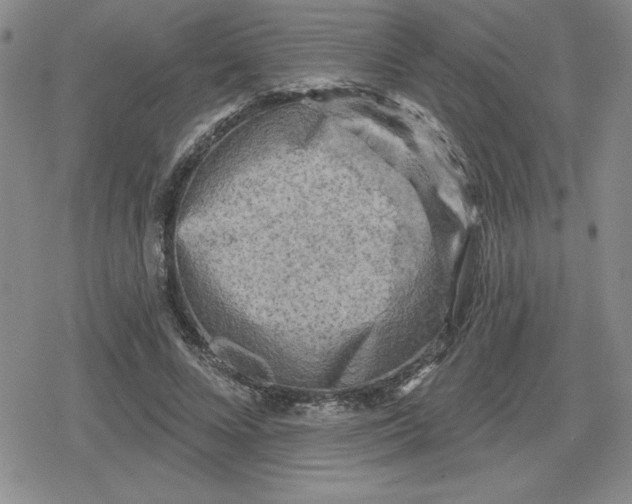 X0000080180688200612221316