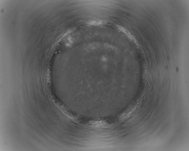 X0000080180689200612221316