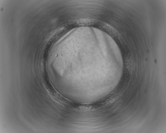 X0000080180690200612221316