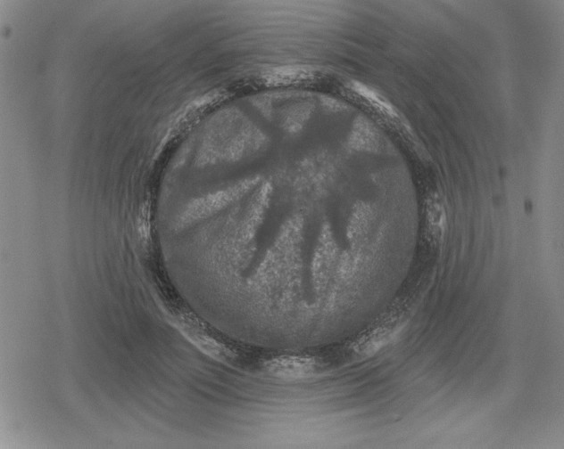 X0000080180691200612221316