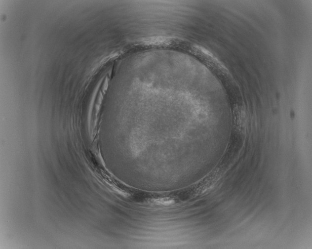 X0000080180692200612221316