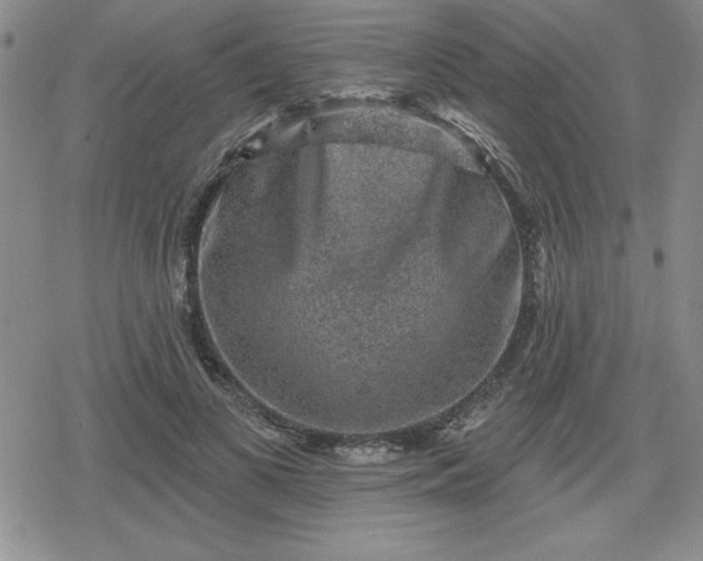 X0000080180693200612221316