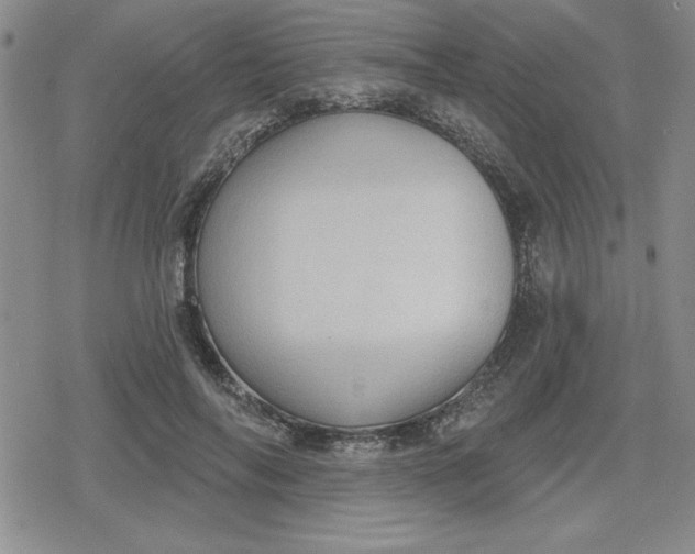 X0000080180694200612221316