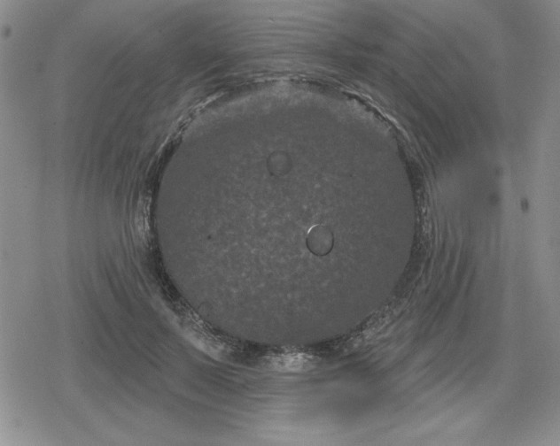 X0000080180695200612221316