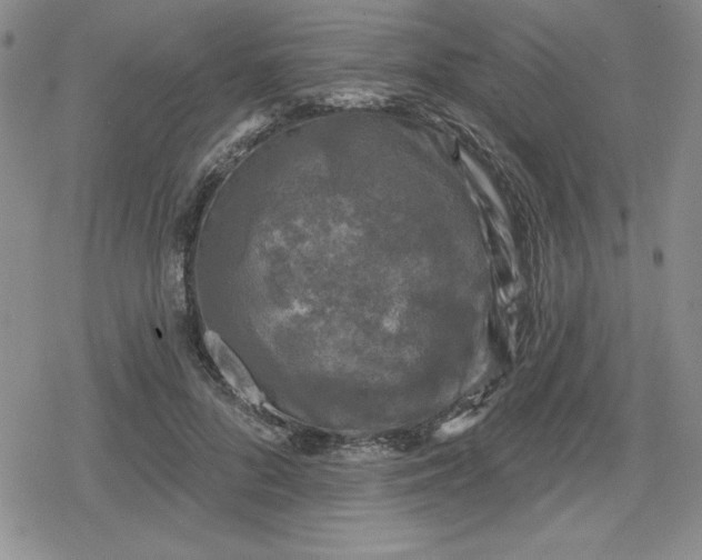 X0000080180696200612221316