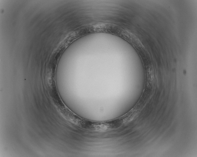 X0000080180698200612221316