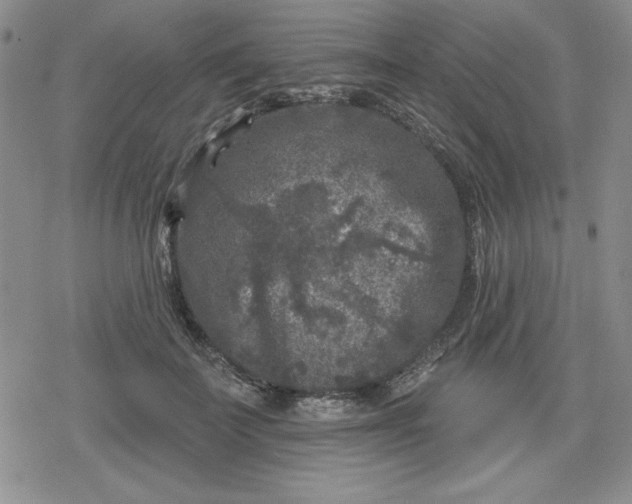 X0000080180699200612221316