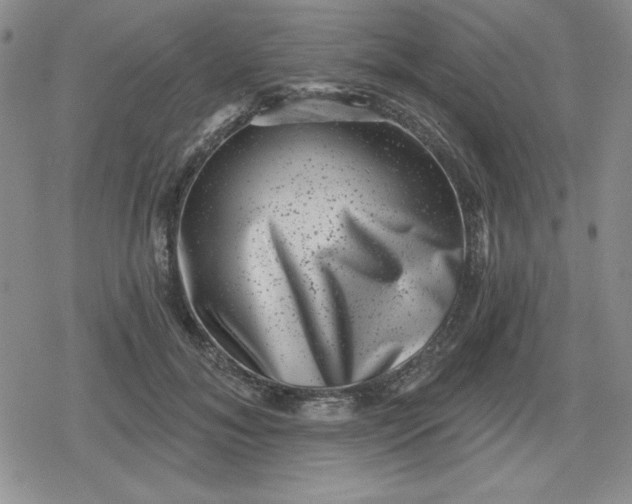 X0000080180700200612221316