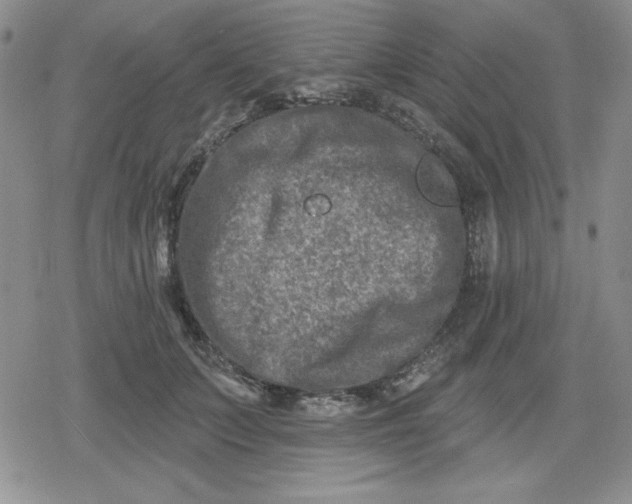 X0000080180703200612221316