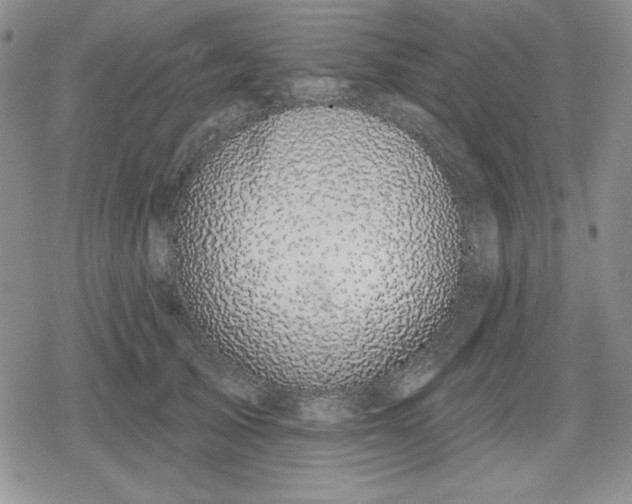 X0000080180705200612221316