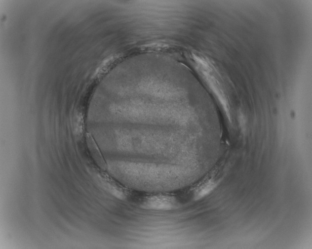 X0000080180708200612221316