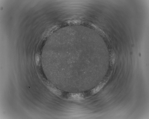 X0000080180709200612221316