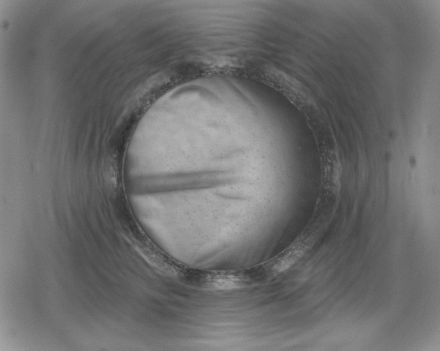 X0000080180710200612221316