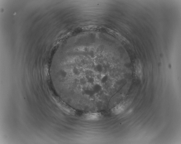 X0000080180711200612221316