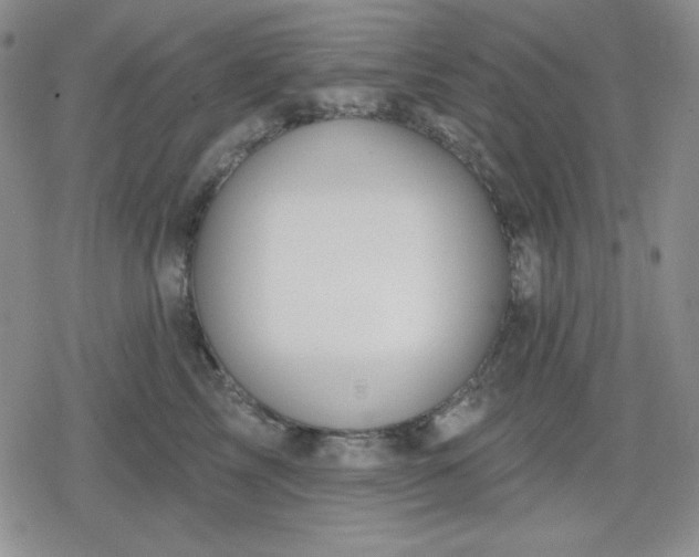 X0000080180713200612221316