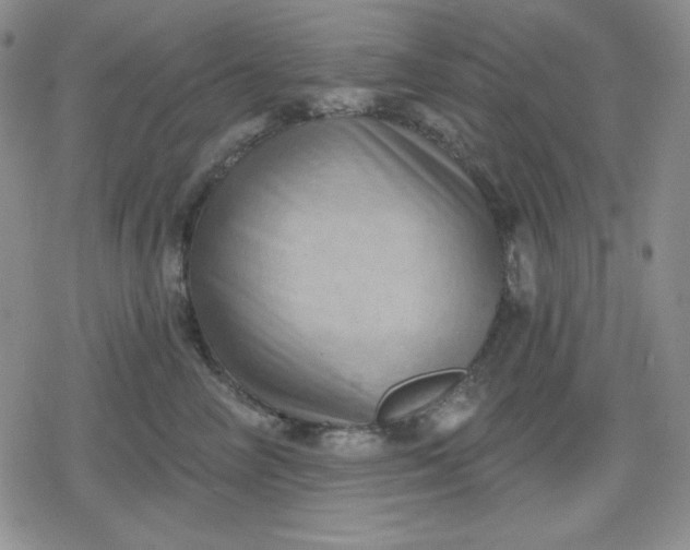 X0000080180714200612221316