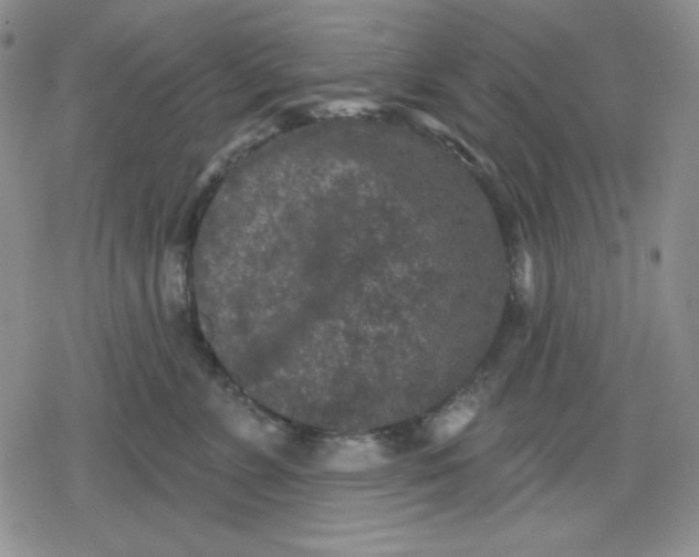 X0000080180715200612221316