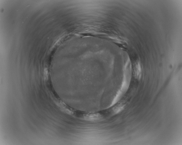 X0000080180716200612221316